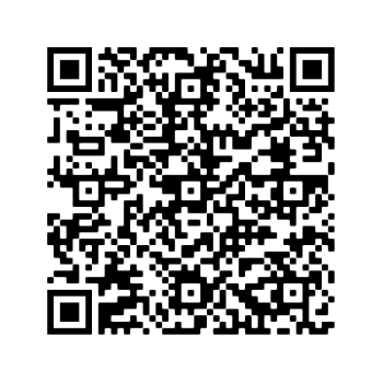 FLAVIAspeed E-Bike Tuning - Yamaha PW-X / PW-X2 / PW-SE / PW-ST / PW-TE / PW-CE V3